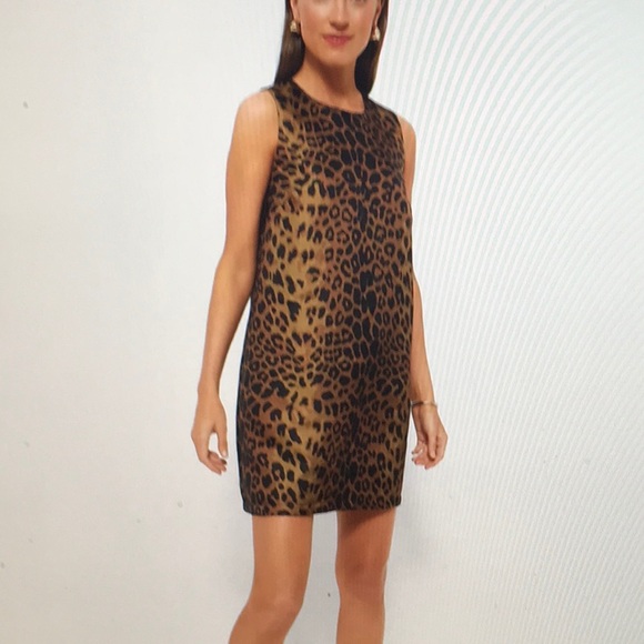 Tuckernuck Sheath Dress Leopard Print - Picture 2 of 9